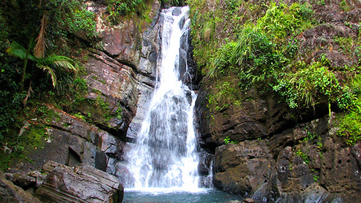 el-yunque